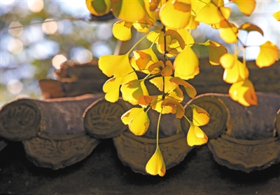 新京报2013年秋季好书 - vanfine - 文峰阁 新京报2013年秋季好书 - vanfine - 文峰阁